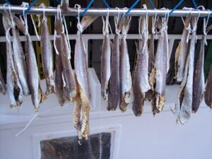 Stockfish