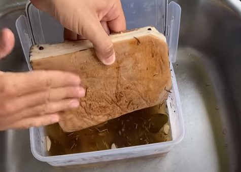 Lardo curing