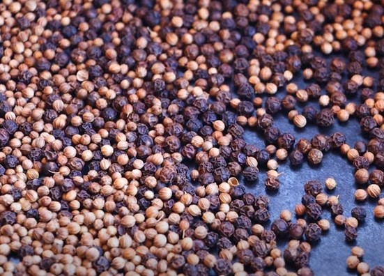 Coriander seeds for droewors