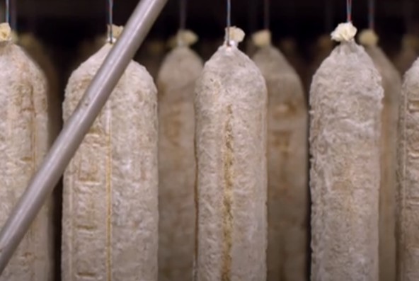 Genoa Salami