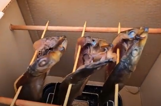 Kippers smoking