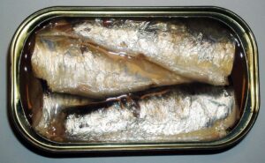 Canned Sardines